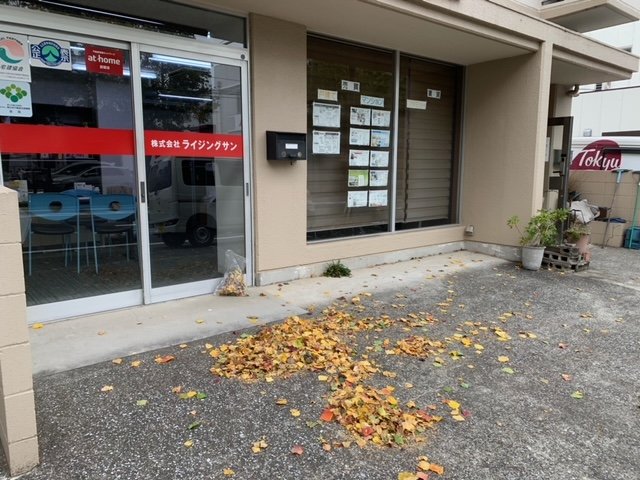 秋、事務所の前の落ち葉。コロナ禍で換気の為に窓を開ける。